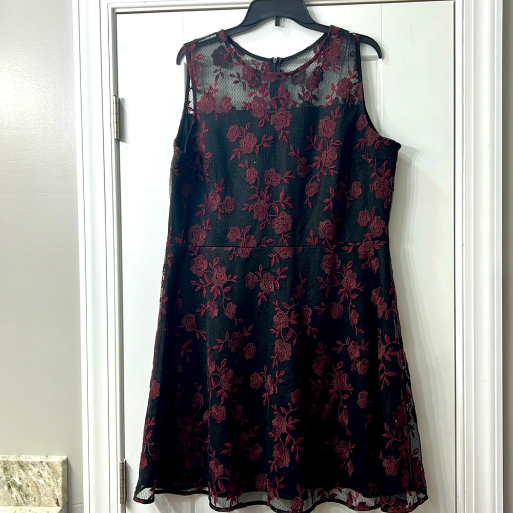Beautiful lace dress; sleeveless and sits above knee